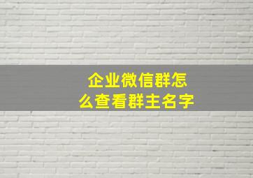 企业微信群怎么查看群主名字