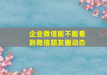 企业微信能不能看到微信朋友圈动态