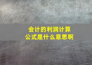 会计的利润计算公式是什么意思啊