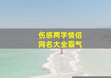 伤感两字情侣网名大全霸气