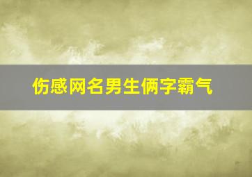 伤感网名男生俩字霸气