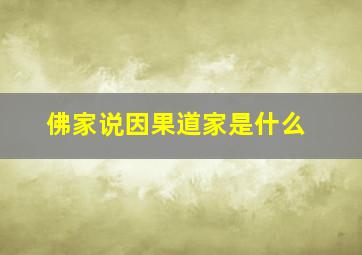 佛家说因果道家是什么