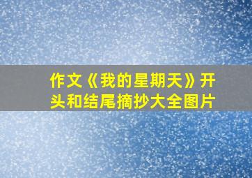 作文《我的星期天》开头和结尾摘抄大全图片