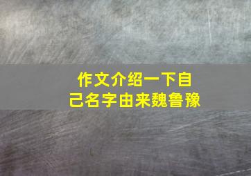 作文介绍一下自己名字由来魏鲁豫