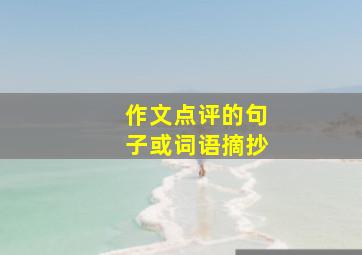 作文点评的句子或词语摘抄