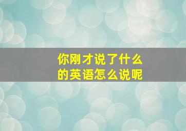 你刚才说了什么的英语怎么说呢