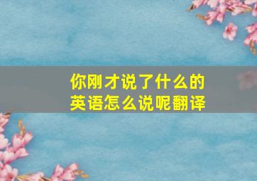 你刚才说了什么的英语怎么说呢翻译