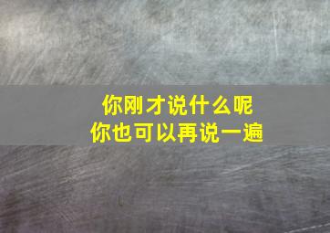 你刚才说什么呢你也可以再说一遍