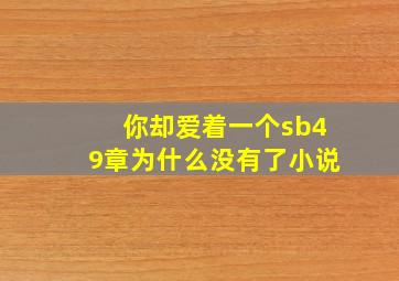 你却爱着一个sb49章为什么没有了小说