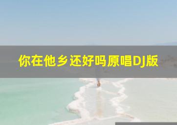 你在他乡还好吗原唱DJ版