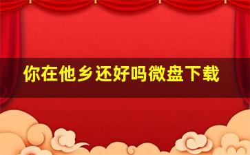 你在他乡还好吗微盘下载