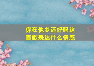 你在他乡还好吗这首歌表达什么情感