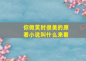 你微笑时很美的原著小说叫什么来着