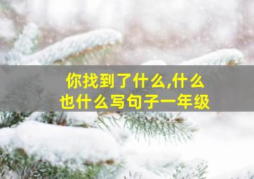 你找到了什么,什么也什么写句子一年级