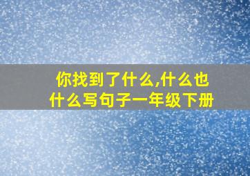 你找到了什么,什么也什么写句子一年级下册