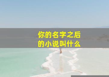 你的名字之后的小说叫什么