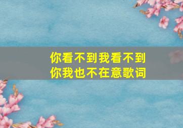 你看不到我看不到你我也不在意歌词