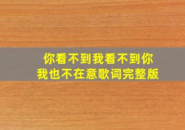 你看不到我看不到你我也不在意歌词完整版