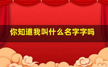 你知道我叫什么名字字吗