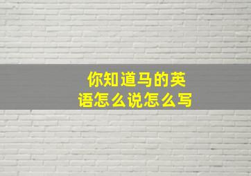 你知道马的英语怎么说怎么写