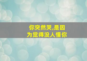 你突然哭,是因为觉得没人懂你