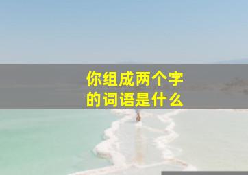 你组成两个字的词语是什么