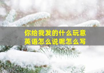 你给我发的什么玩意英语怎么说呢怎么写