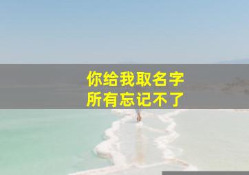 你给我取名字所有忘记不了