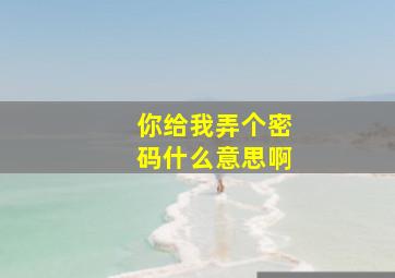 你给我弄个密码什么意思啊