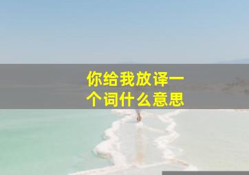 你给我放译一个词什么意思