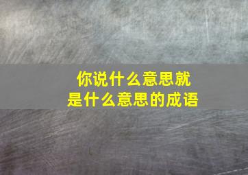 你说什么意思就是什么意思的成语