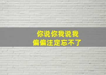 你说你我说我偏偏注定忘不了