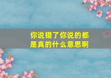 你说错了你说的都是真的什么意思啊