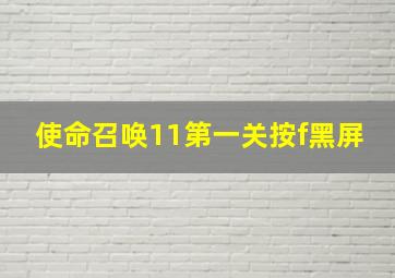 使命召唤11第一关按f黑屏