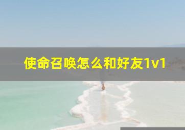 使命召唤怎么和好友1v1