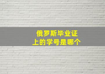 俄罗斯毕业证上的学号是哪个