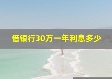 借银行30万一年利息多少