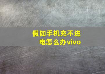 假如手机充不进电怎么办vivo