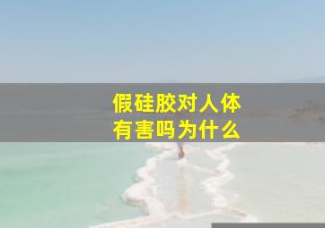 假硅胶对人体有害吗为什么