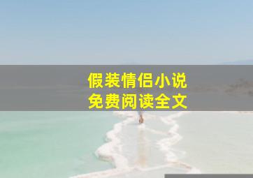 假装情侣小说免费阅读全文