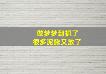 做梦梦到抓了很多泥鳅又放了