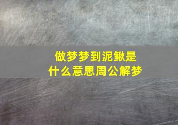 做梦梦到泥鳅是什么意思周公解梦