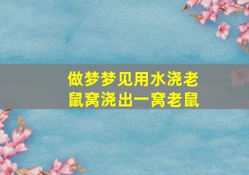 做梦梦见用水浇老鼠窝浇出一窝老鼠