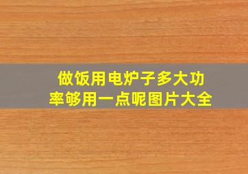 做饭用电炉子多大功率够用一点呢图片大全