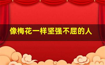 像梅花一样坚强不屈的人