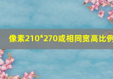 像素210*270或相同宽高比例