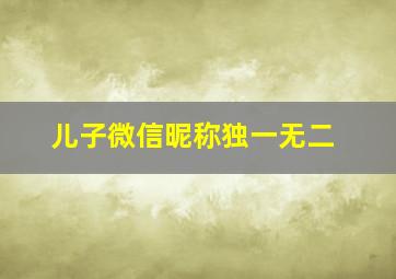 儿子微信昵称独一无二