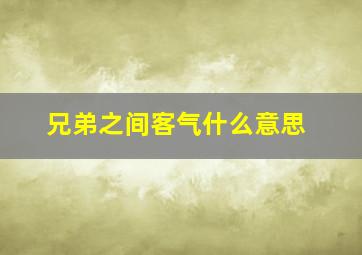 兄弟之间客气什么意思