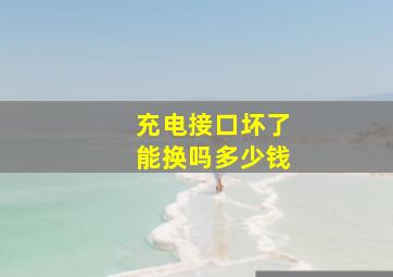 充电接口坏了能换吗多少钱