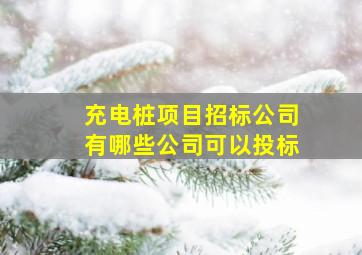 充电桩项目招标公司有哪些公司可以投标